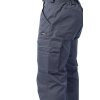 Летние мужские брюки Brodeks KS 301, серый 